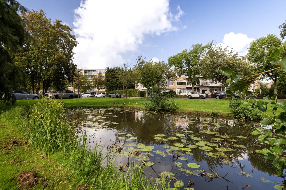 Van Beethovensingel 11-2-14